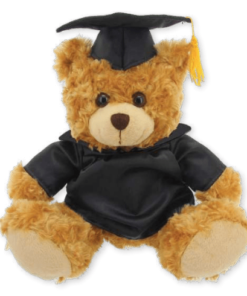 Graduation Teddy Bear
